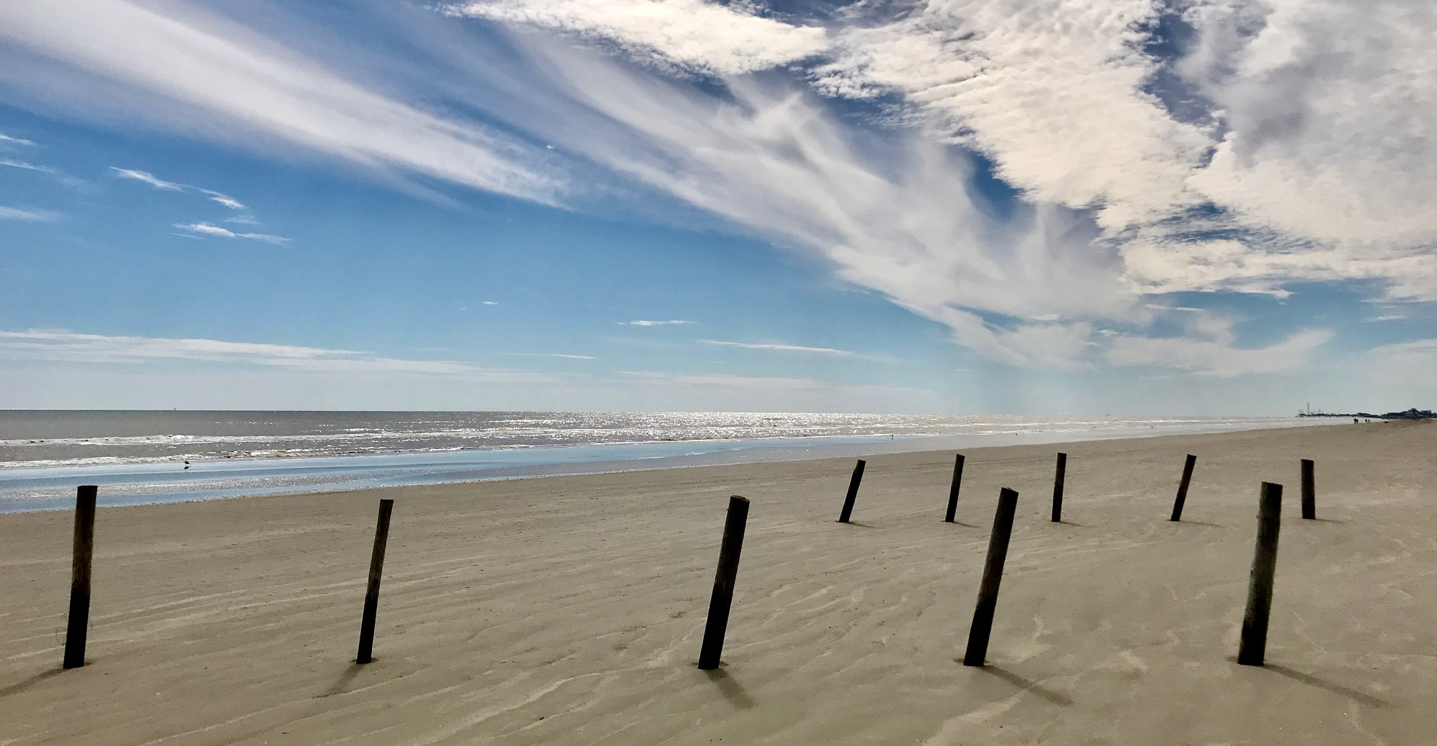 Weathered posts on a Gulf beach