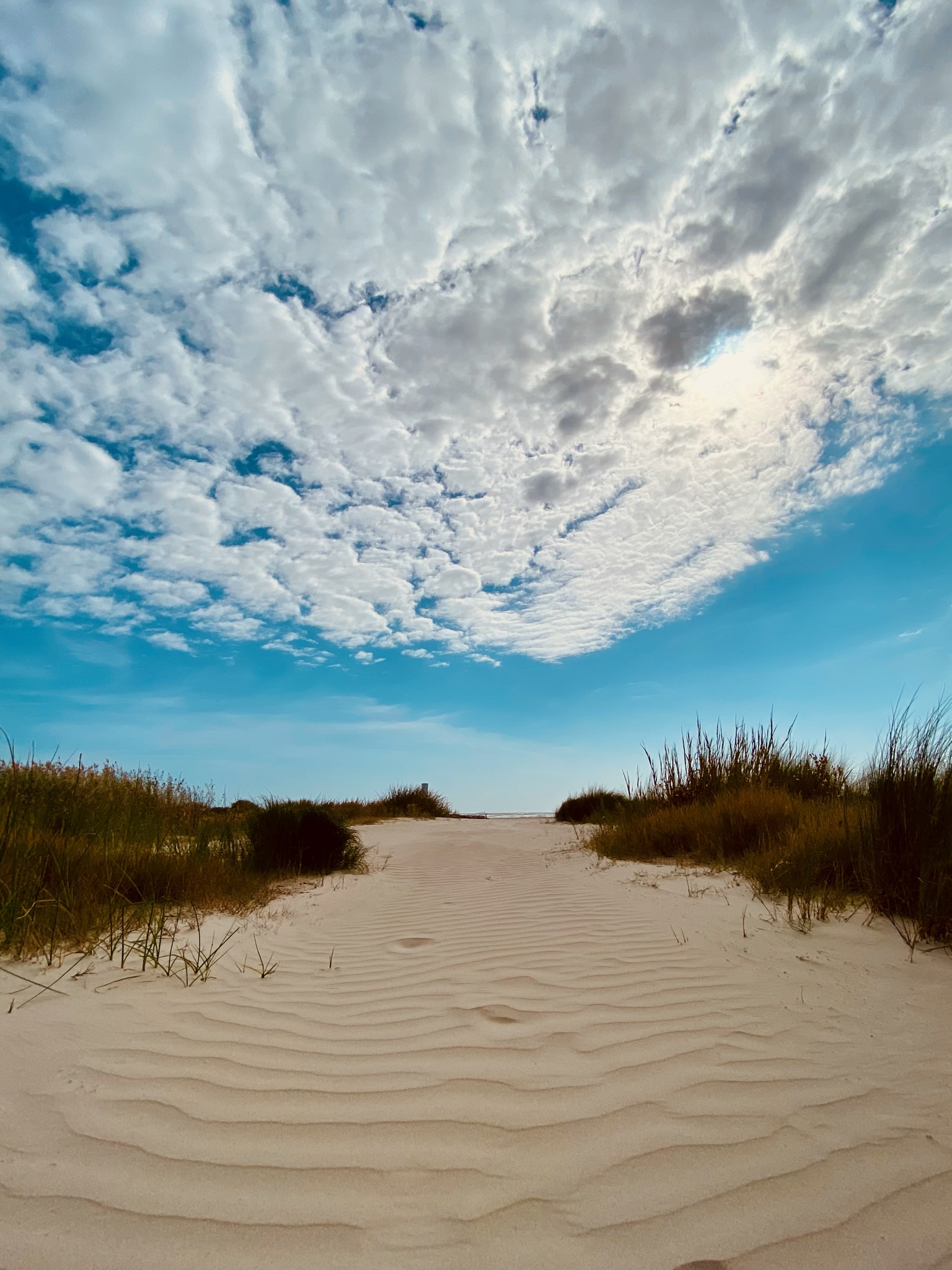 A sandy path through the dunes opening toward the water