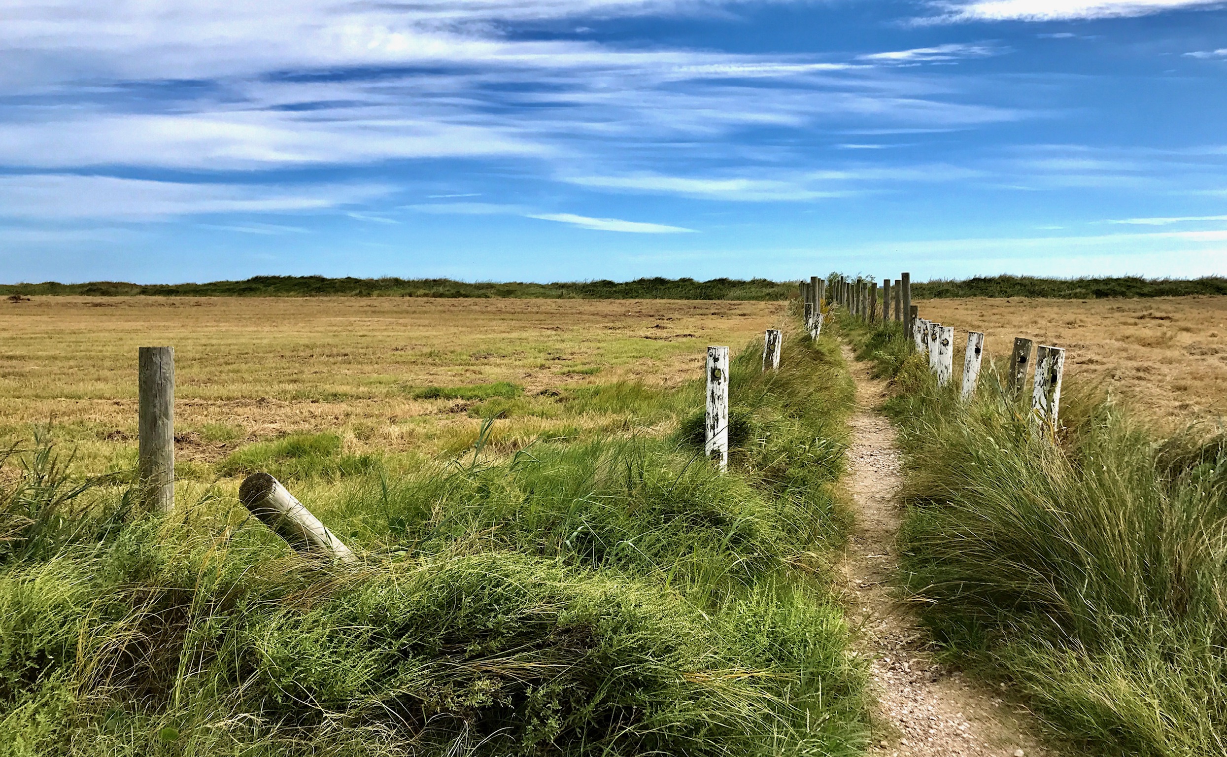 A footpath between fence posts under a wide sky